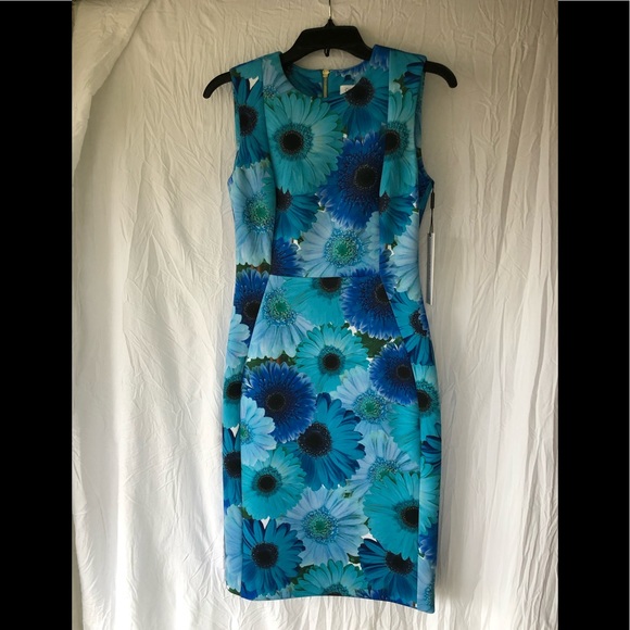 Clavin Klein Dresses & Skirts - CLAVIN KLEIN dress size 4 blue flower sleeveless dress zipper closure.